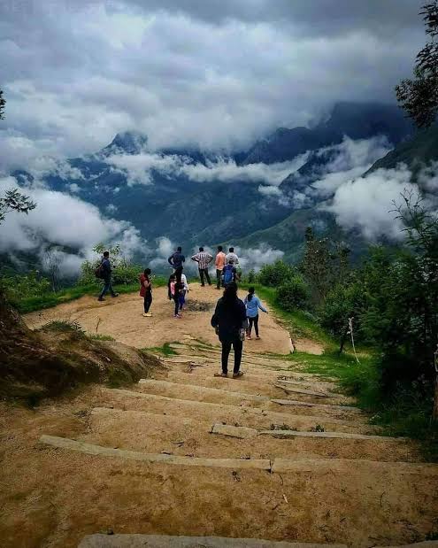 top station munnar